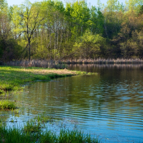 Ouverture de la pêche à la truite Étang Pierrefitte