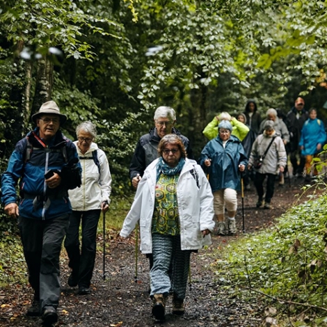 Inscription - Section « MARCHE A PIED  » - 2025 -