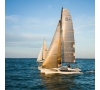Inscription - Section « VOILE » - 2025 -