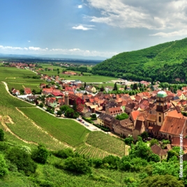 Séjour Marche et découverte -KAYSERSBERG -