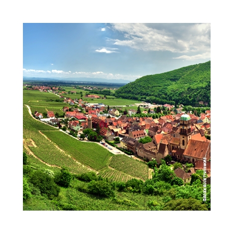 Séjour Marche et découverte -KAYSERSBERG -