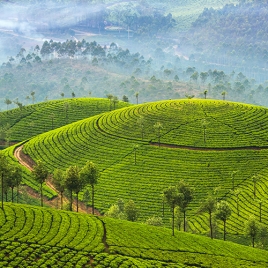 Séjour au  Sri Lanka