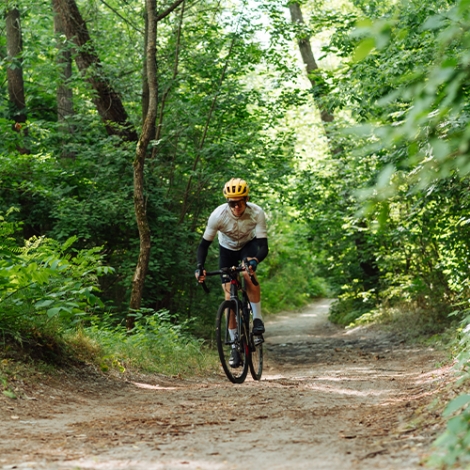 Sortie VTT en forêt de Mervent