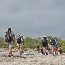 Séjour Marche à Merlimont