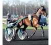 Un dimanche à l'hippodrome de Vincennes