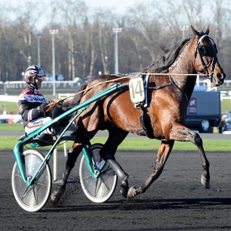 Un dimanche à l'hippodrome de Vincennes